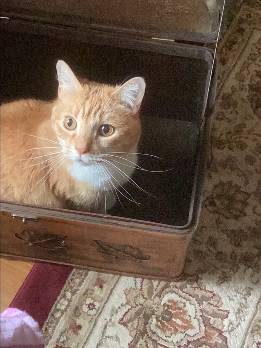 Amber sez buy some vintage jewelry please so she can have the box